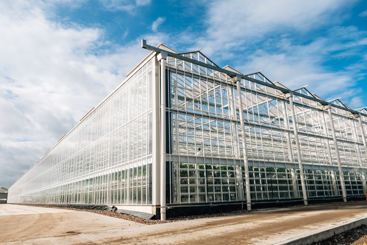 Kent Glasshouses